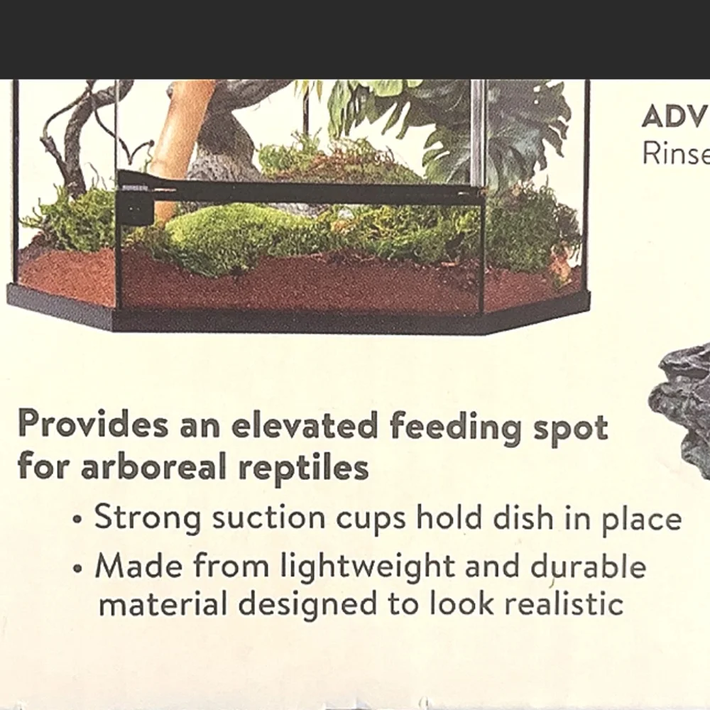 New! THRIVE Tropical Food & Water Dish with Suction Cups.